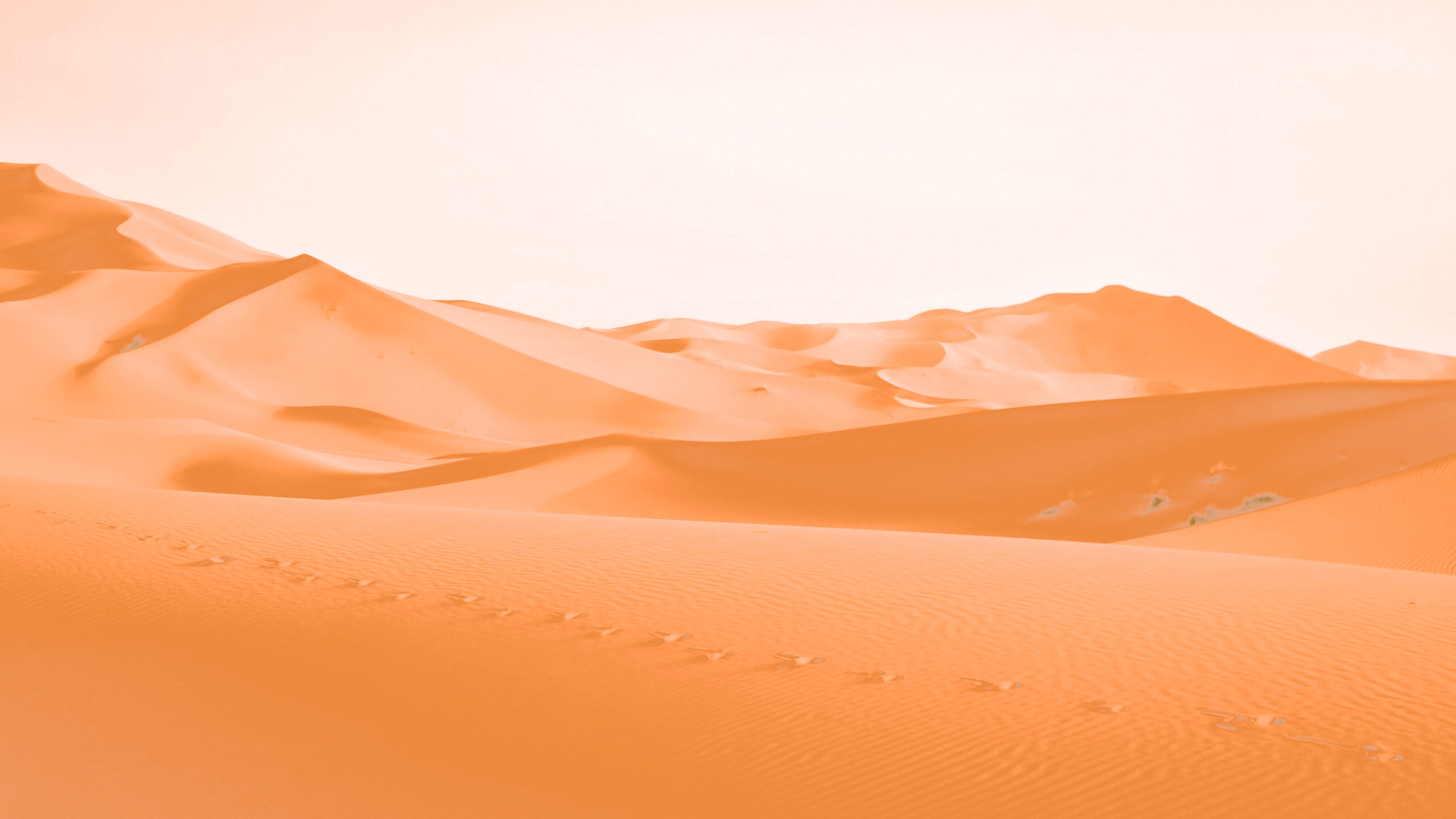 Writing SEO: Our How-To For Writing Effective SEO Copy